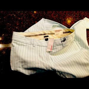 Express Editor pants